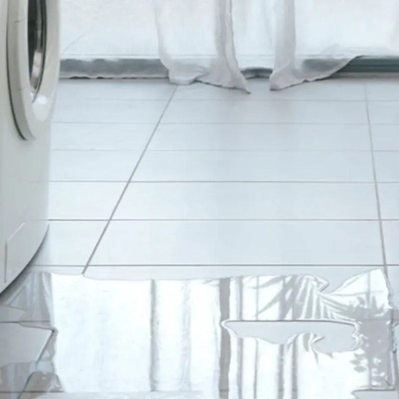 Appliance Leak Cleanup in Rice County, KS