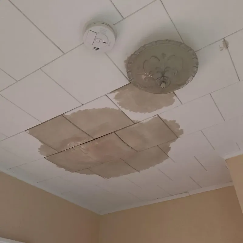 Ceiling Water Damage Repair in Rice County, KS