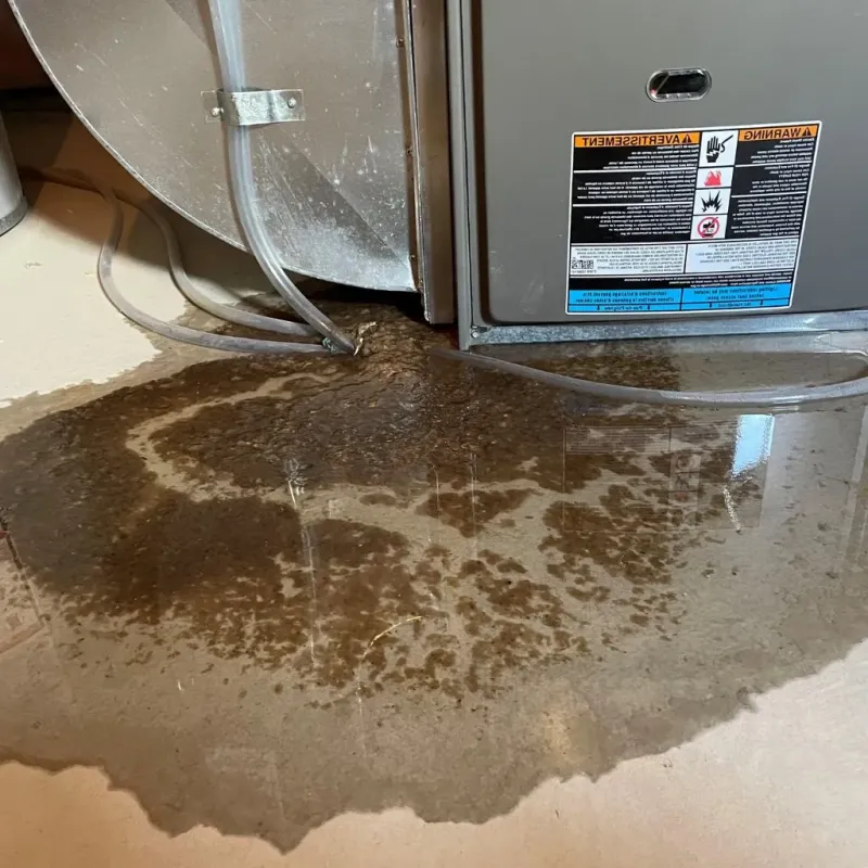 Pipe Burst and Leak Restoration in Rice County, KS