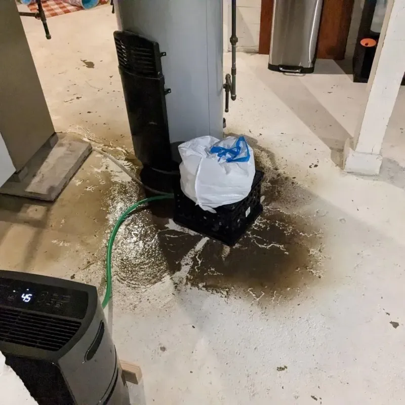 Sewage Backup Cleanup Service in Rice County, KS